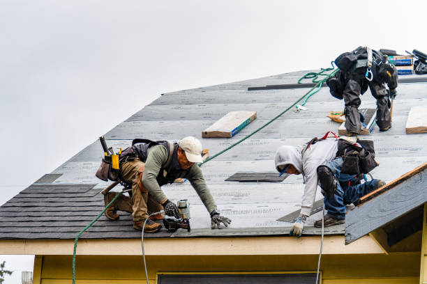 Professional Gutter Installation technician working in Hamlin, IA